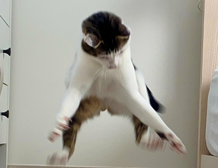 出所：@Saeroyi_cat