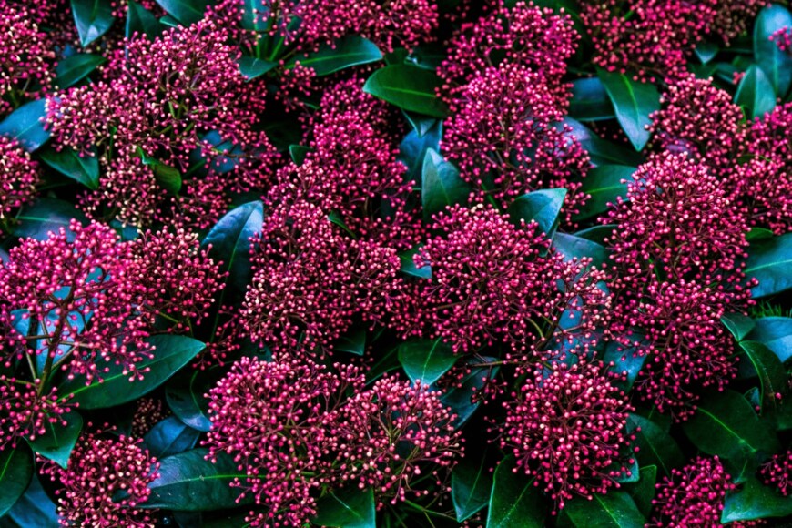 Olga Ostapenko/istockphoto.com