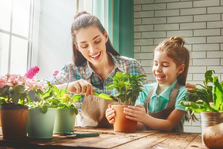 おうちに花を…簡単！「おうち＆ベランダ栽培できる植物」8選