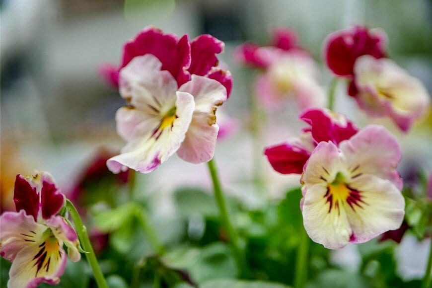 croquette/istockphoto.com