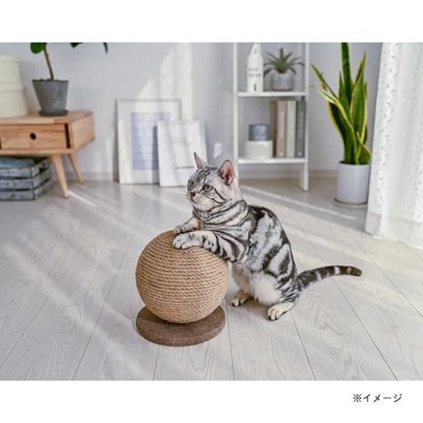 画像出所：カインズ公式オンラインショップ