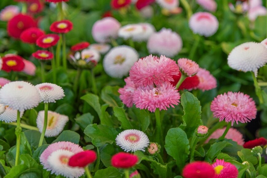 NataliaVo/istockphoto.com