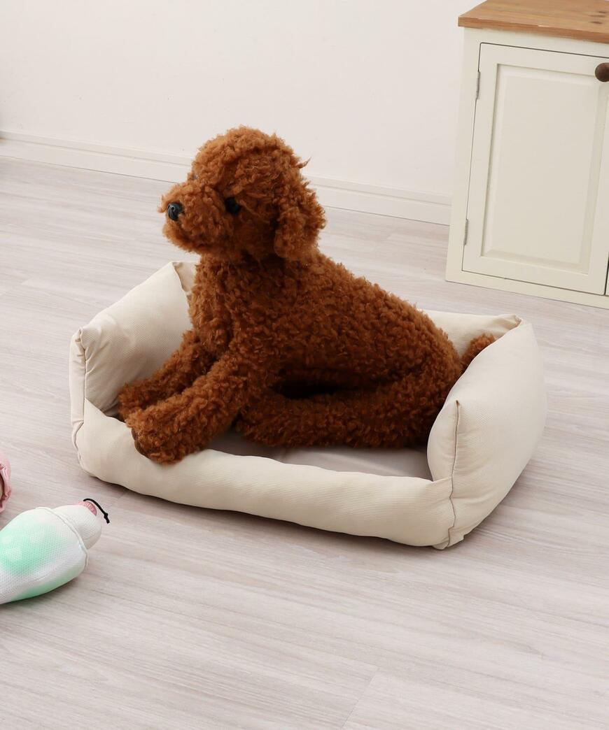 出所：パルグループ公式ファッション通販サイト 3COINS ペットベッド：S