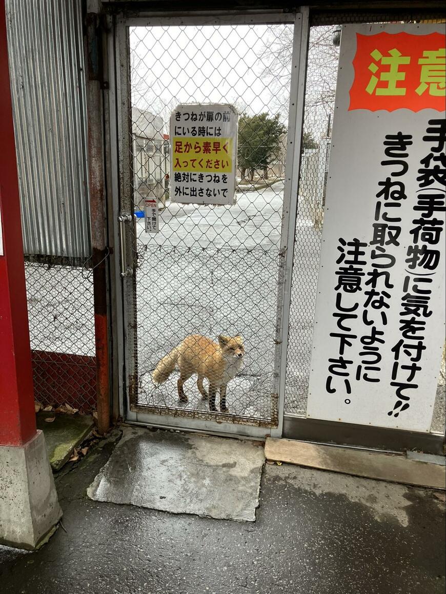 出所：@zushi_yukitaka