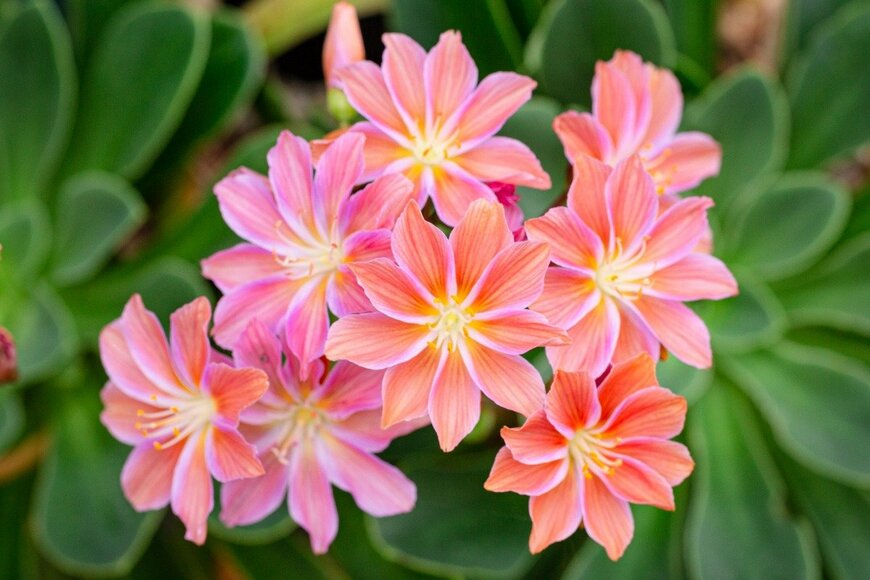 Andres Victorero/istockphoto.com