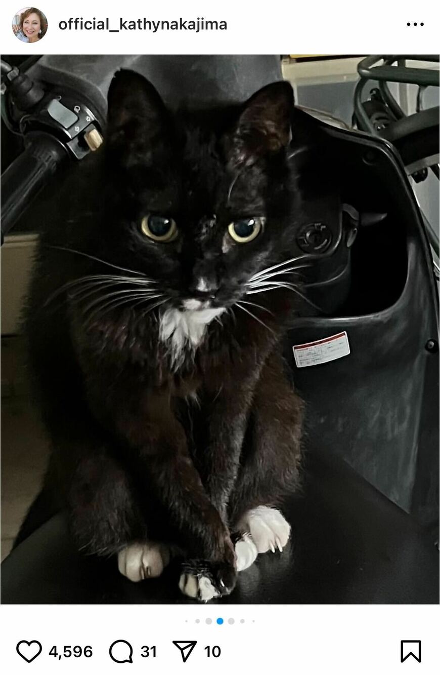 出所：キャシー中島のInstagram（＠official_kathynakajima）参照日：2025年7月2日