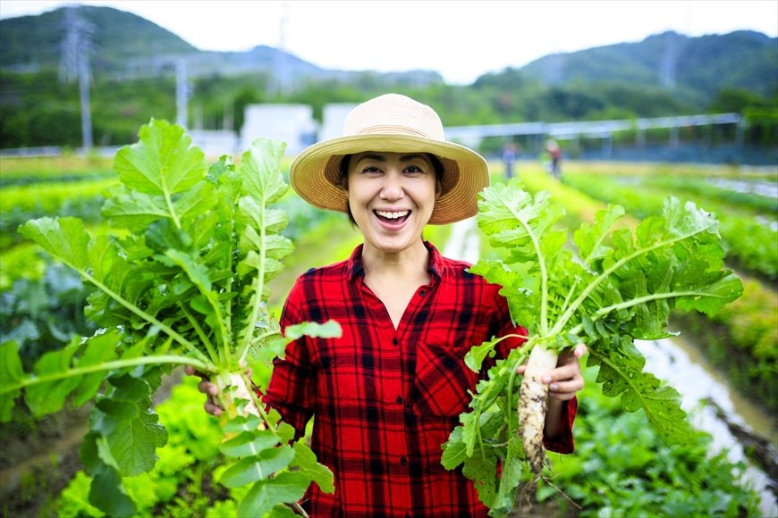 静かなブームになっている「農泊」の魅力