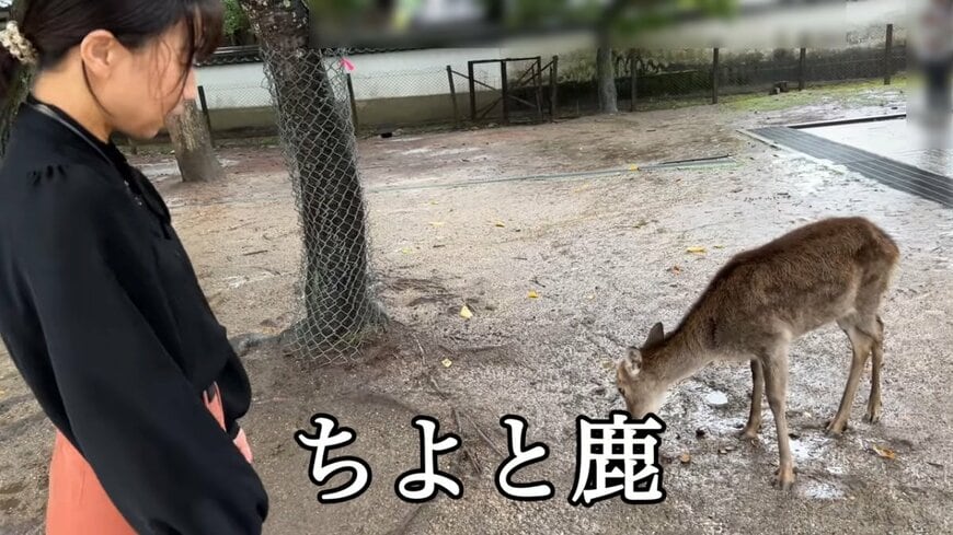 投稿の画像