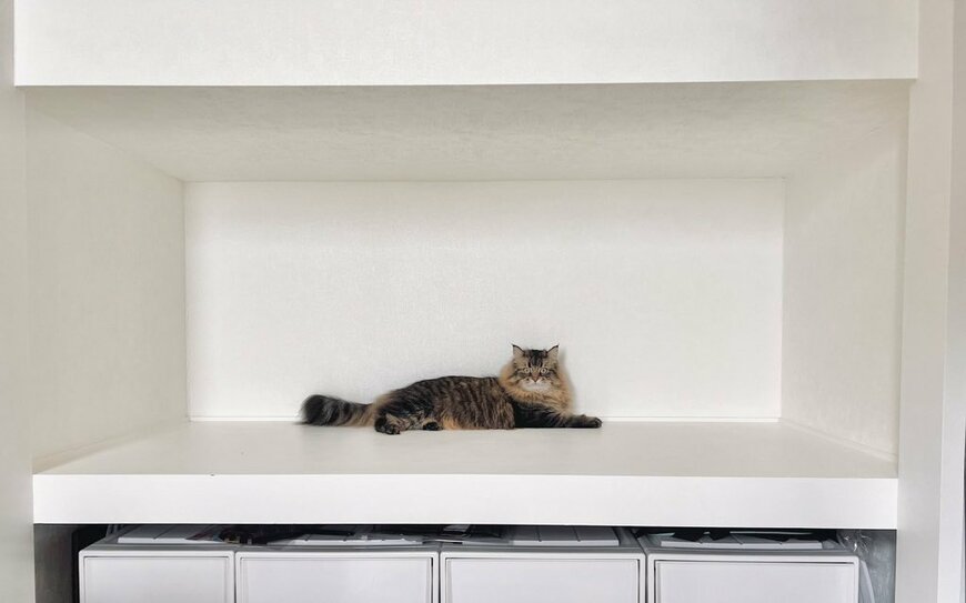 ヤマネコくんの「お部屋」となる押し入れスペース(改装前)