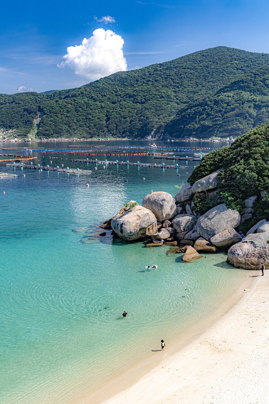 高知県の栢島