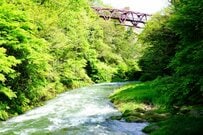 【年金一覧表】5月になる前に確認を！60歳代・70歳代・80歳代の「国民年金＆厚生年金」の平均月額を一覧でチェック