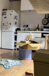 「どこにいるかと思ったらw」“予想外の場所”で潜む猫に思わず笑ってしまう人続出！