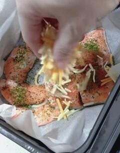 【サーモンのチーズ焼き弁当】看護師が作る、真っ赤なタコさんウインナー入りの「彩り弁当」が美味しそう
