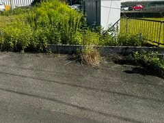 家の外の「スリッパ」の上に“かたまり”を発見…正体は「小さなネズミ」。意外な光景に「くつろぎすぎ！」の声