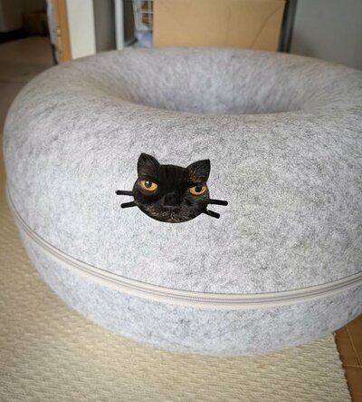 「模様かと思ったw」ぴったりすぎる猫ちゃん