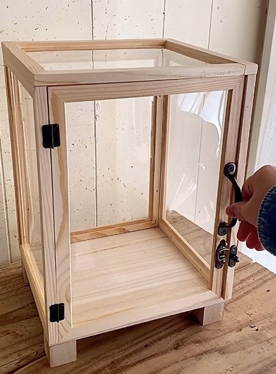 投稿の画像