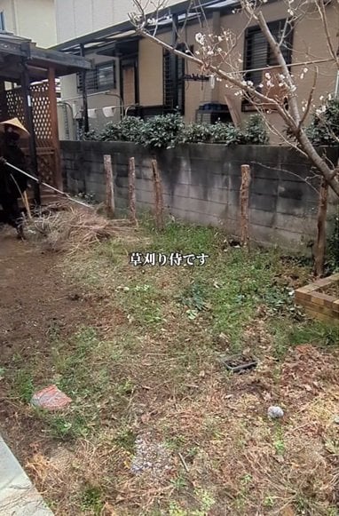 投稿の画像