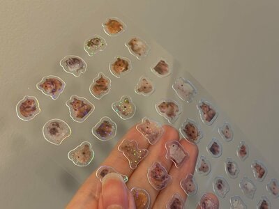 セリア、シール ホロぷちアニマルズ商品画像