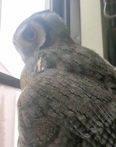 投稿動画のワンシーン