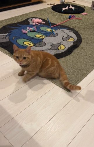 投稿動画のワンシーン