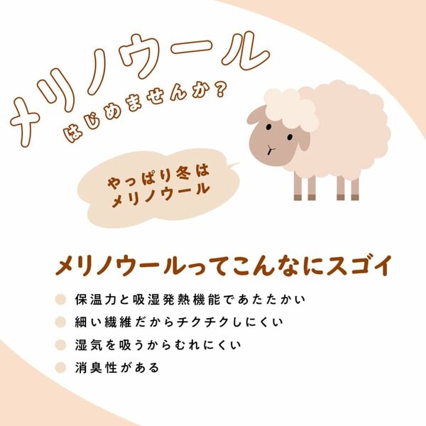 毎日着たくなる着心地と評判の「メリノウール」