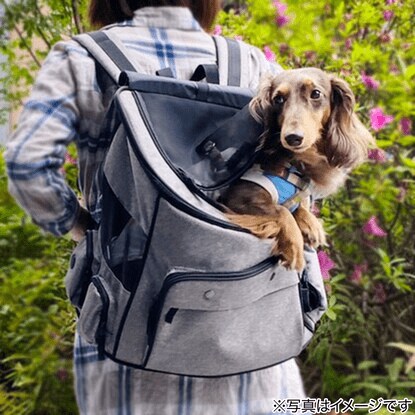 ネコちゃんやワンちゃんたちの移動にぴったりなリュックサック