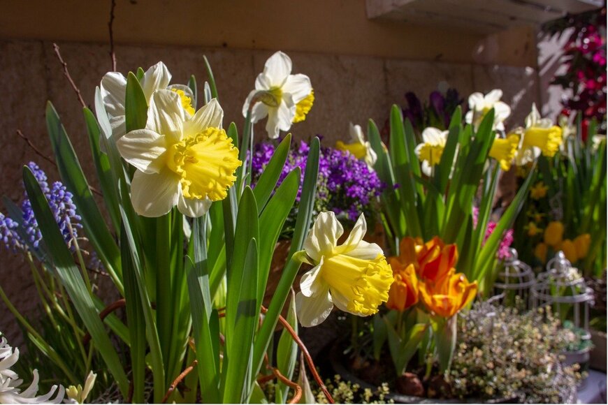 Natalia Zhukova/istockphoto.com