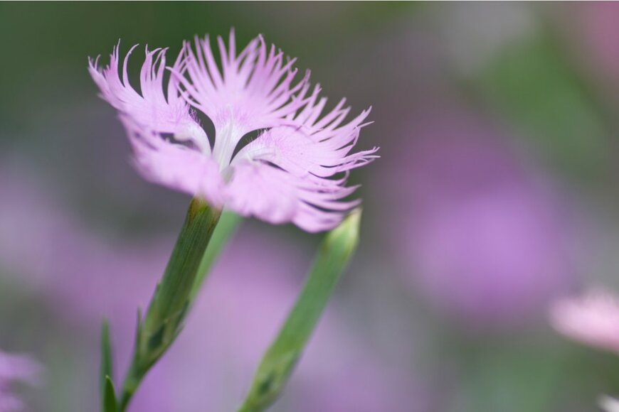 zzz555zzz/shutterstock.com