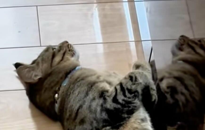 出所：@sorakai0905