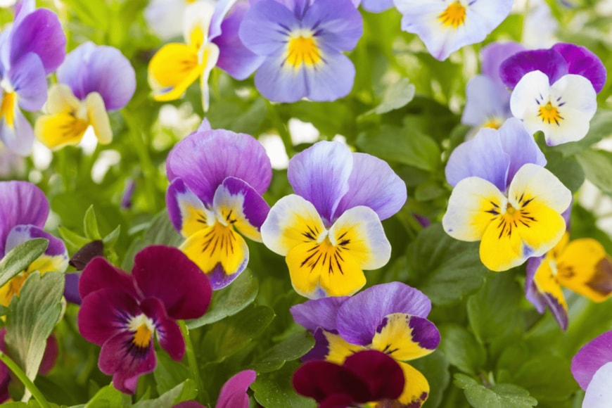 OlgaMiltsova/istockphoto.com