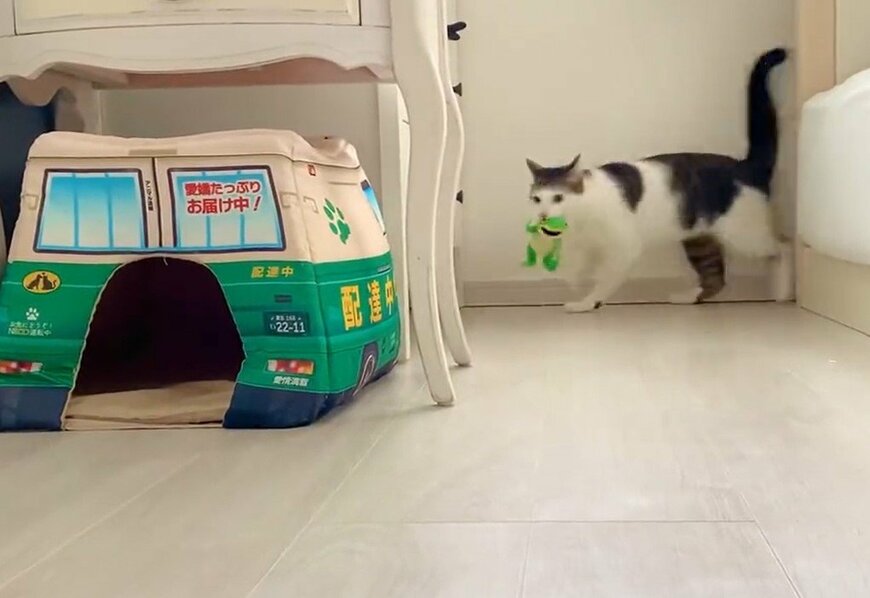 出所：@Saeroyi_cat