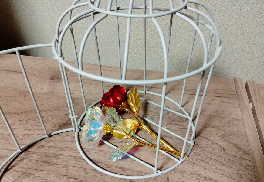 筆者撮影（ダイソー、アイアンインテリア（ケージ、直径13.5cm×19cm））