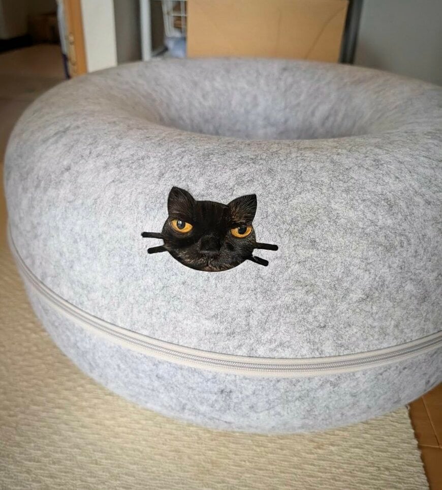 出所：@sabinekonyans