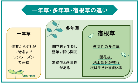 出所：LIMO編集部作成