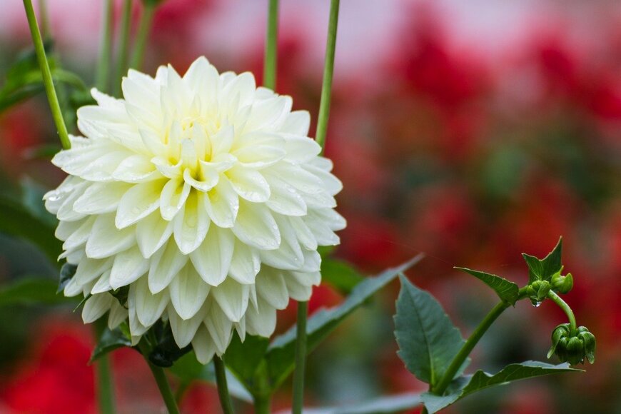 prwstd/istockphoto.com