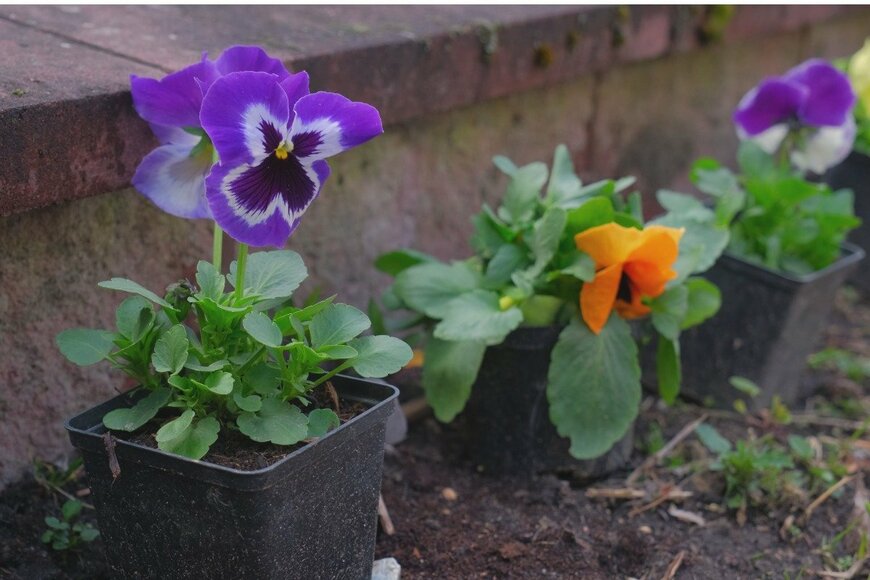 Pawel Kajak/istockphoto.com