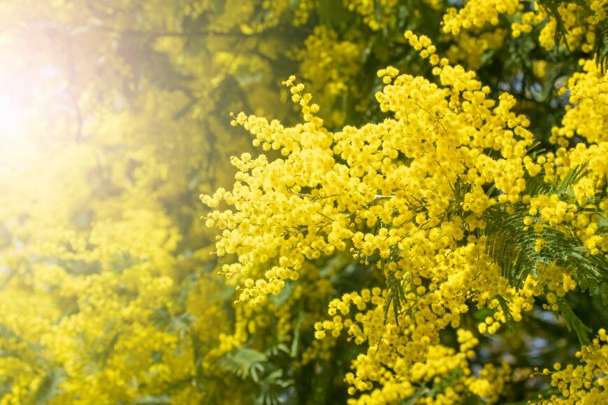 Pavel105/Shutterstock.com