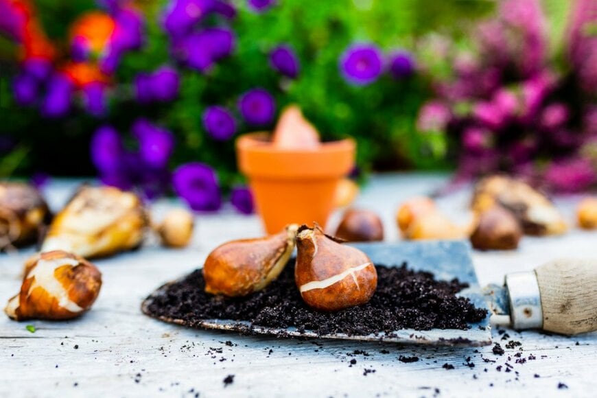 iMarzi/shutterstock.com