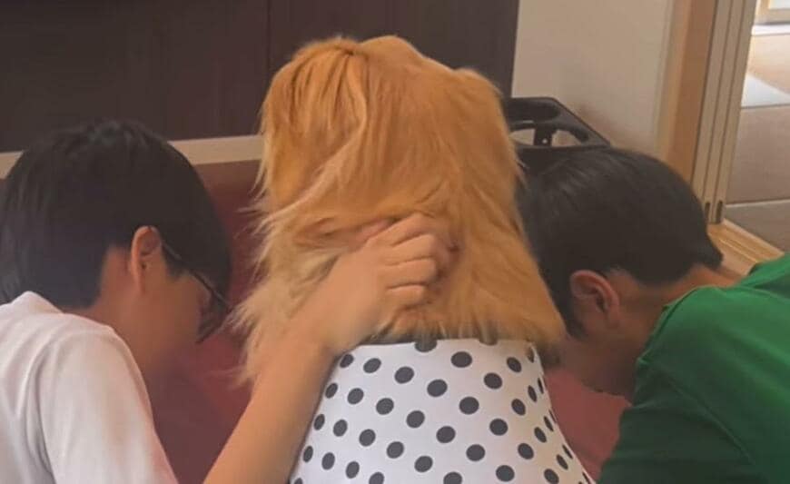 出所：san_goldenretriever