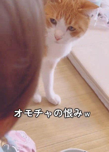 出所：@miko_nekoneko