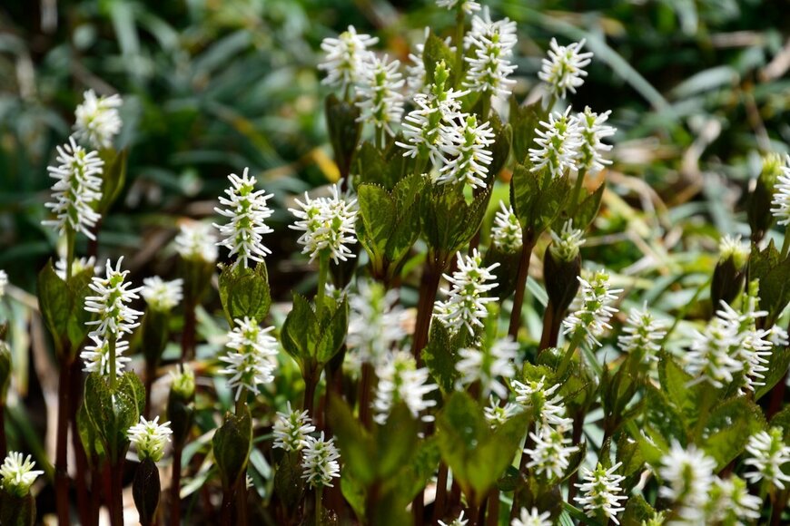 High Mountain/Shutterstock.com