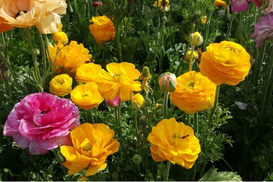 werber photography/istockphoto.com