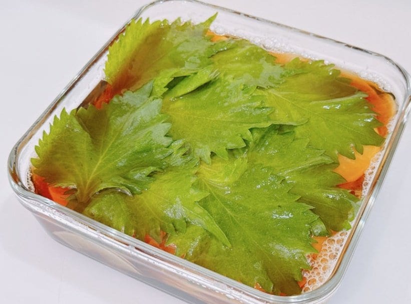 出所：渡辺美奈代のAmeba公式ブログ 参照日：2025年12月16日