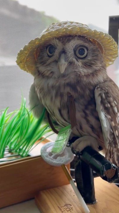 出所：@cr8673.hiro