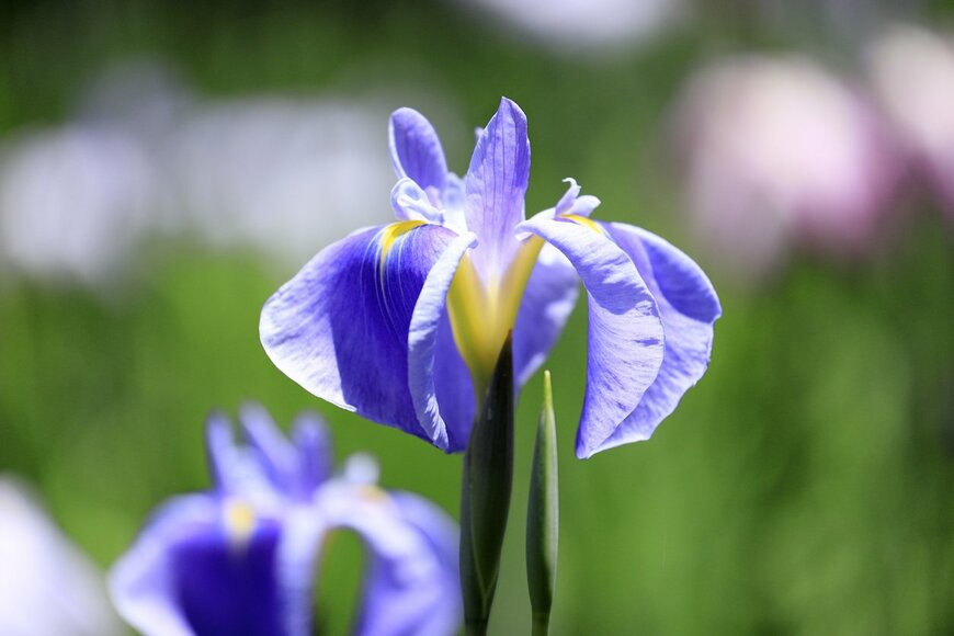 ziggy_mars/istockphoto.com