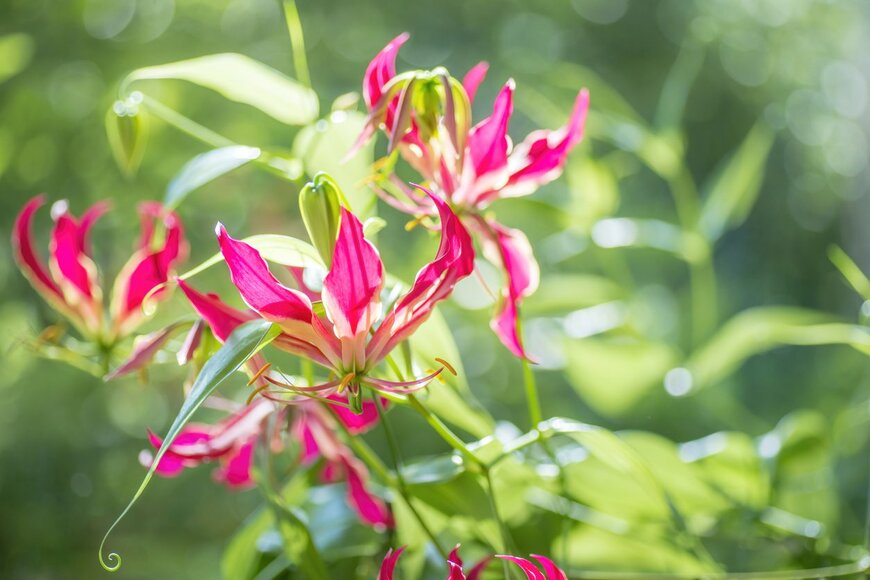 tasun/istockphoto.com