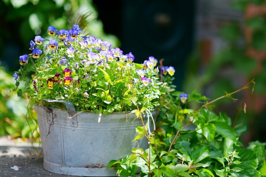 MNStudio/istockphoto.com