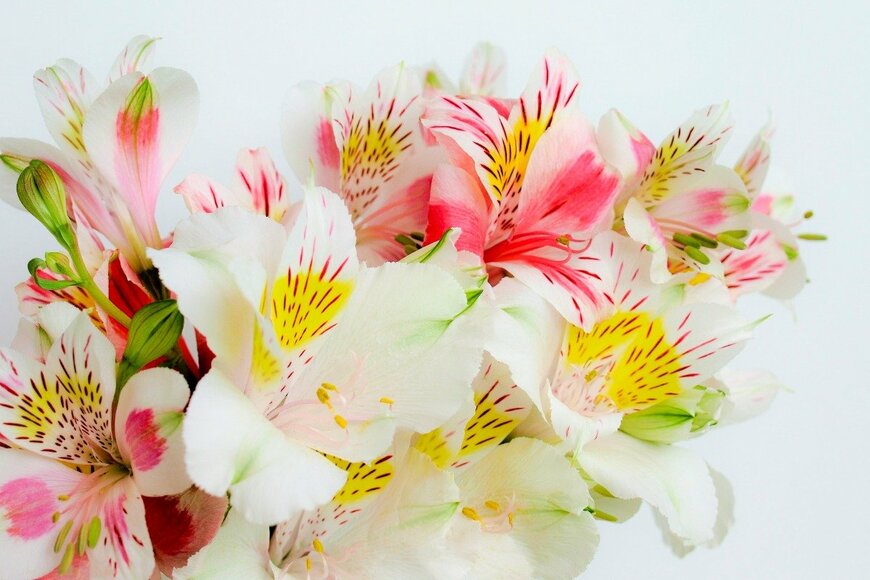 syan/istockphoto.com