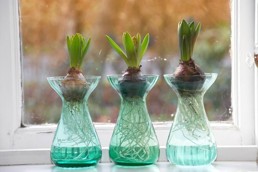 Urilux/istockphoto.com