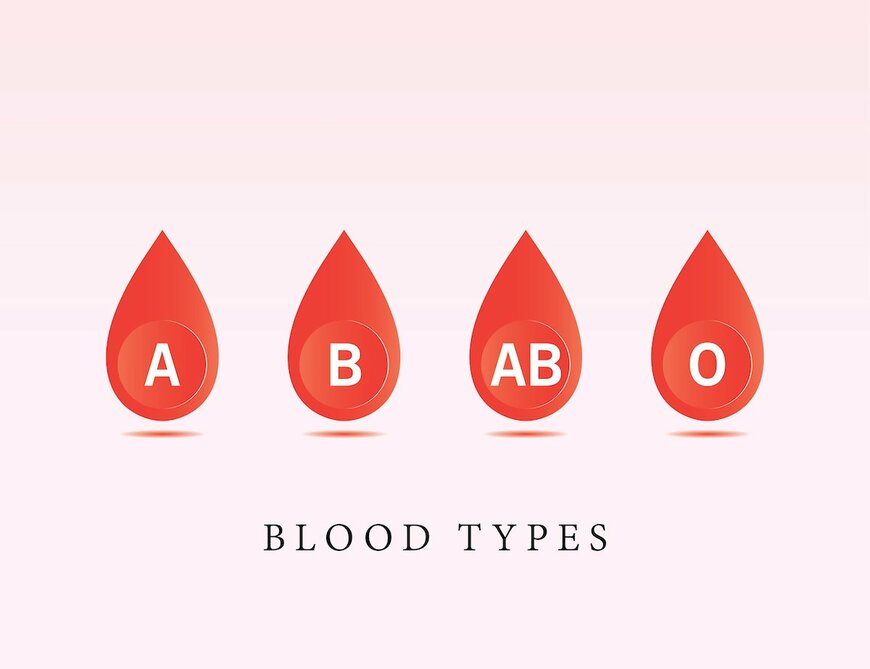 【血液型別】仕事や人間関係で活かせる！4タイプの特徴とは？